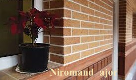 images 3